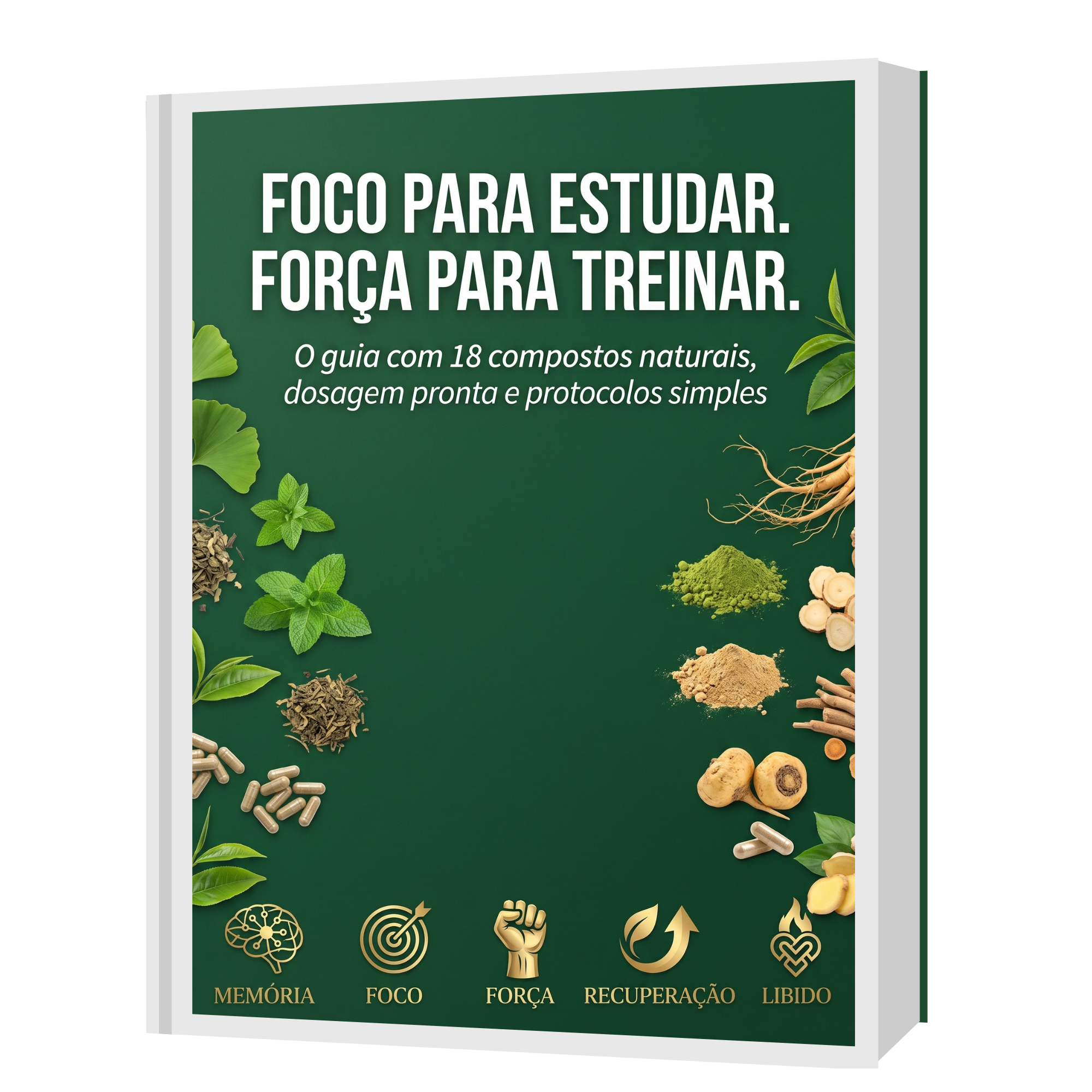 Foco para Estudar. Força para Treinar.